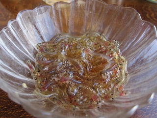 149.JPG