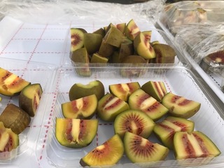 南アルプスロングライド14.JPG