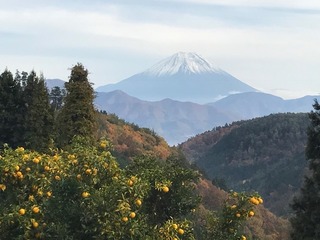 南アルプスロングライド17.JPG